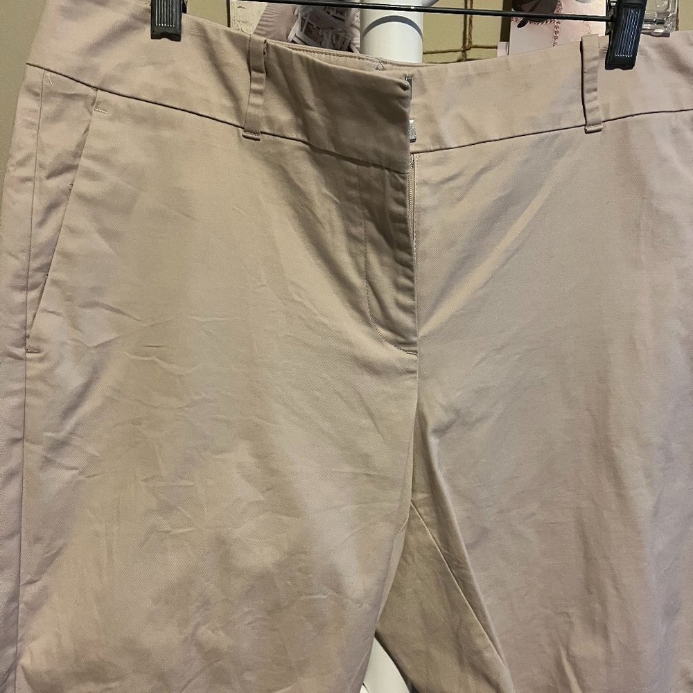 Ann Taylor Shorts